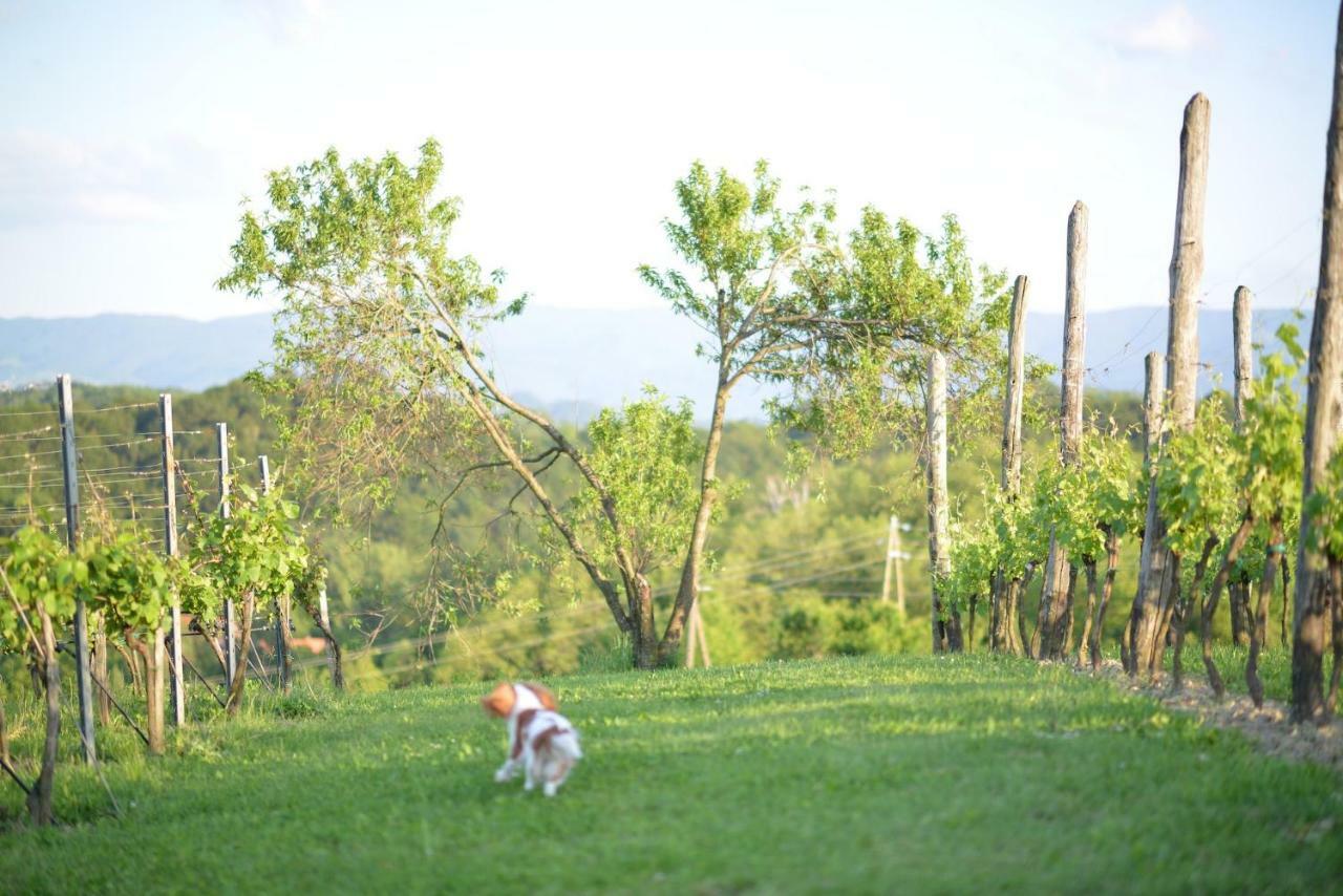 Villa Botanica Mirkovec Экстерьер фото